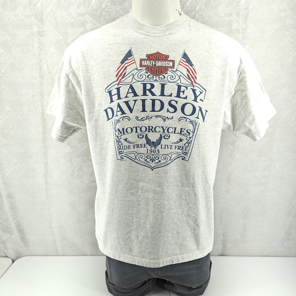 Harley Davidson T Shirt Mens XL Gray Graphic Pin Up Alaska Hanes Beefy T 2011